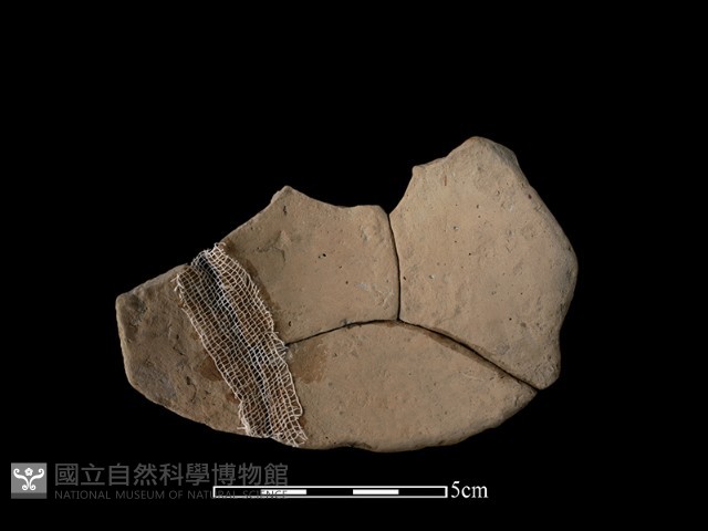 豆形器藏品圖，第1張