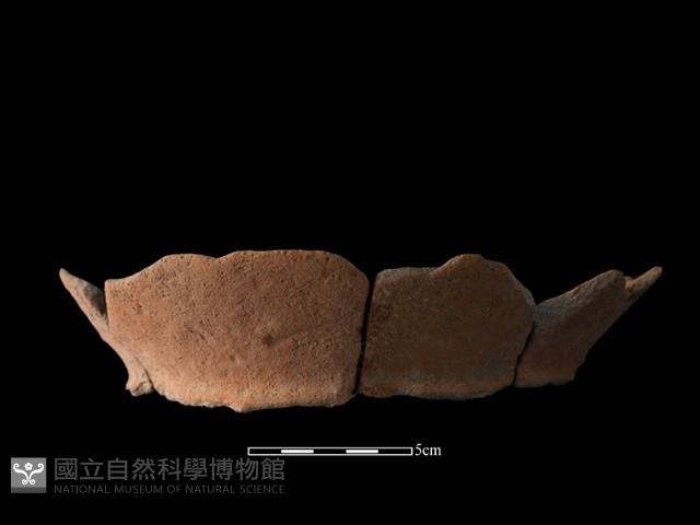 陶罐藏品圖，第2張