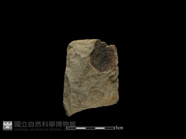 斧鋤形器藏品圖，第2張