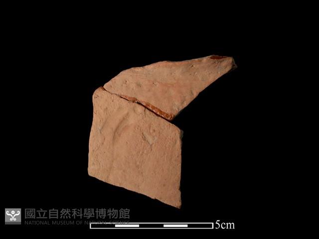 連杯形器藏品圖，第2張