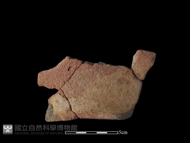 陶罐藏品圖，第2張