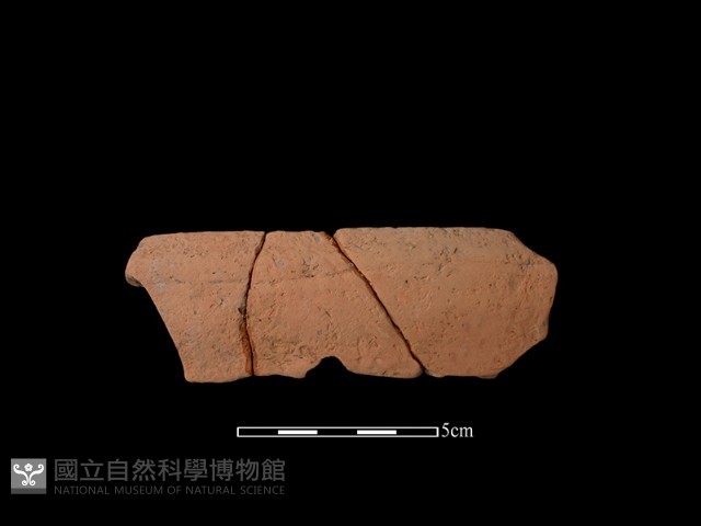 陶片藏品圖，第1張