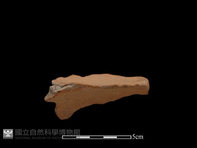 連杯形器藏品圖，第3張