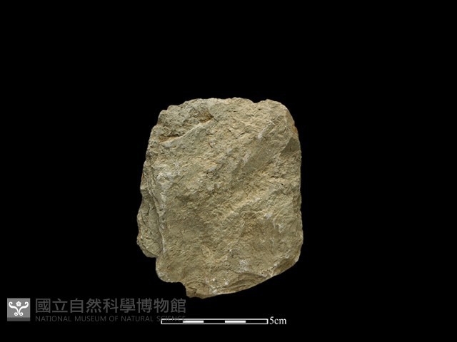 斧鋤形器藏品圖，第2張