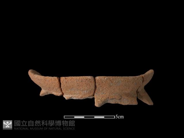 陶罐藏品圖，第1張