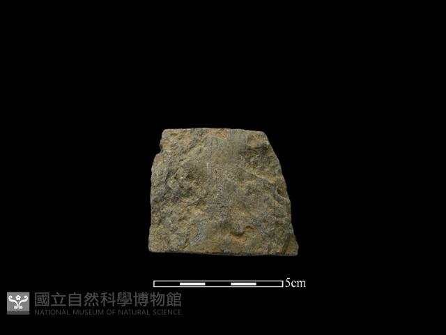 斧鋤形器藏品圖，第2張