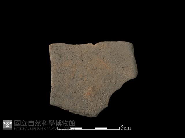 陶片藏品圖，第2張