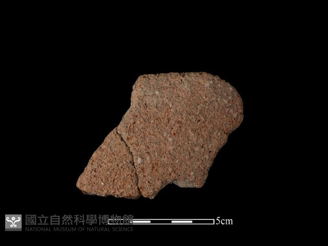 陶片藏品圖，第2張