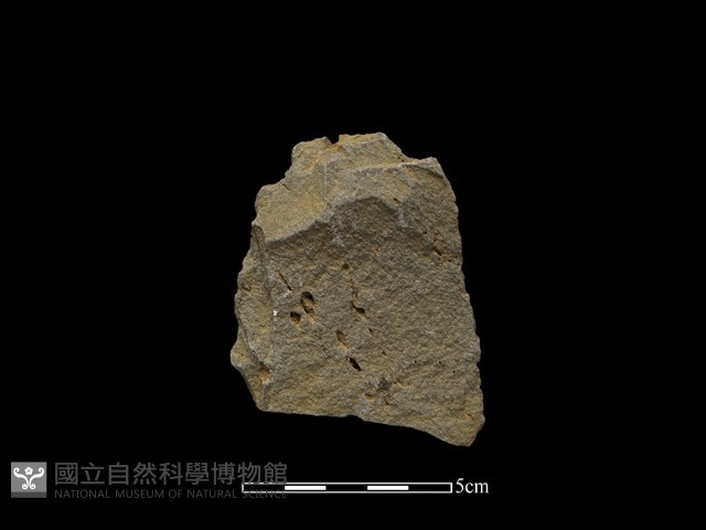 斧鋤形器藏品圖，第2張