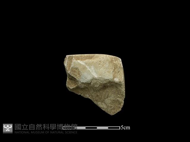 錛鑿形器藏品圖，第2張