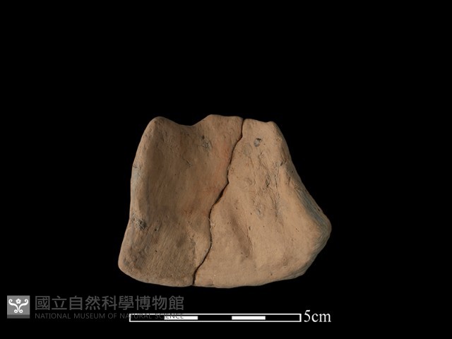 陶片藏品圖，第2張