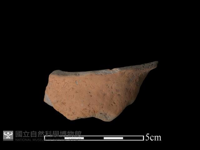 豆形器藏品圖，第2張