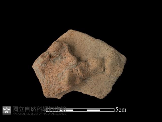 陶片藏品圖，第1張