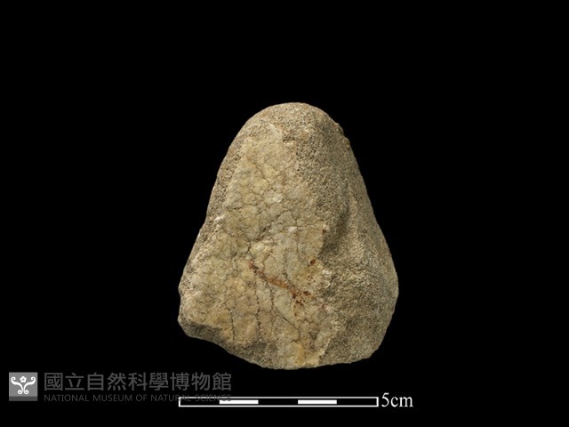 石鎚藏品圖，第3張