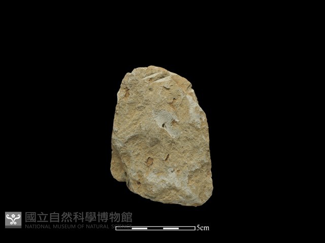 斧鋤形器藏品圖，第2張