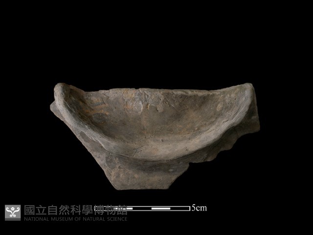 豆形器藏品圖，第2張