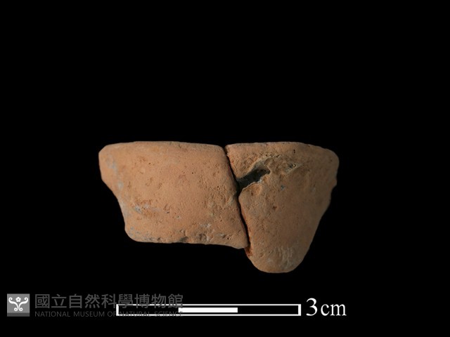 豆形器藏品圖，第2張