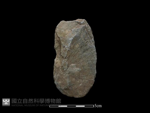 斧鋤形器藏品圖，第2張