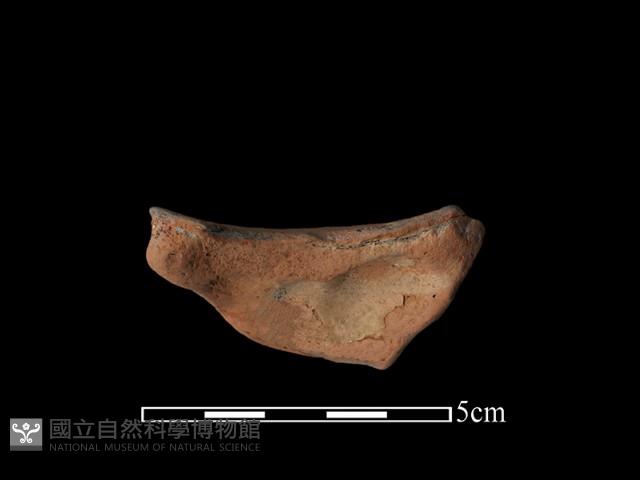 豆形器藏品圖，第2張