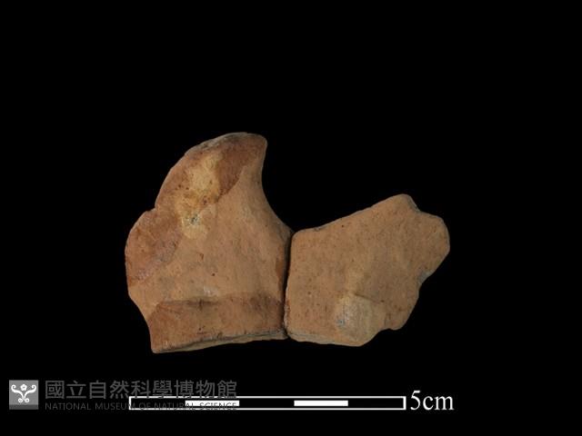 陶片藏品圖，第1張