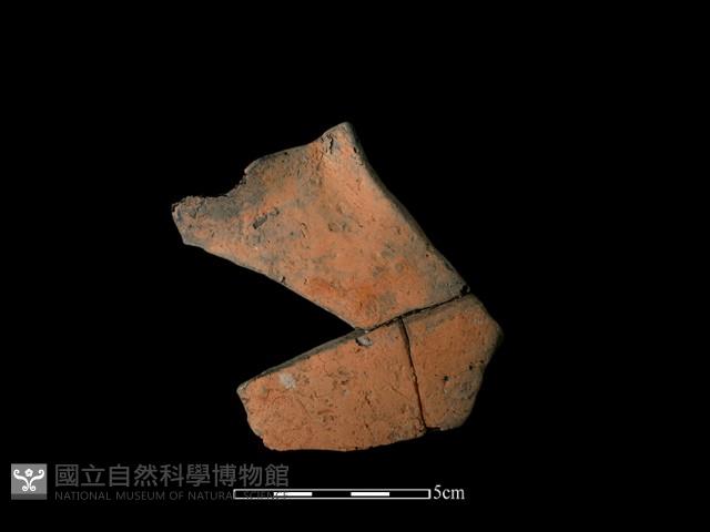 連杯形器藏品圖，第2張