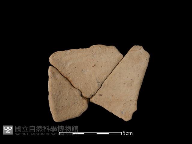 陶片藏品圖，第2張