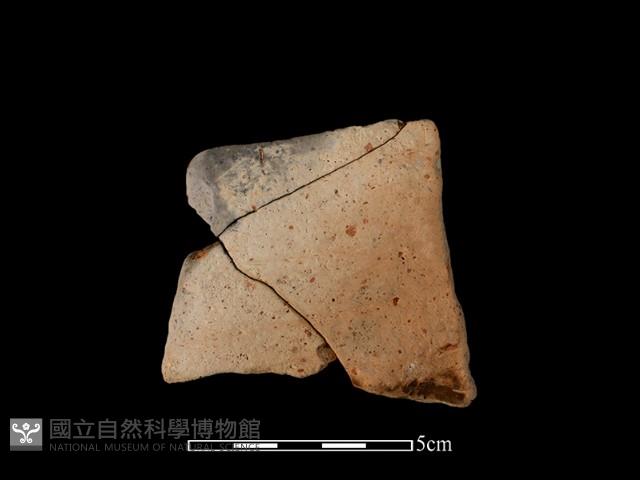 陶片藏品圖，第2張