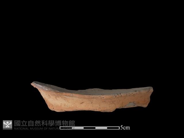 豆形器藏品圖，第1張