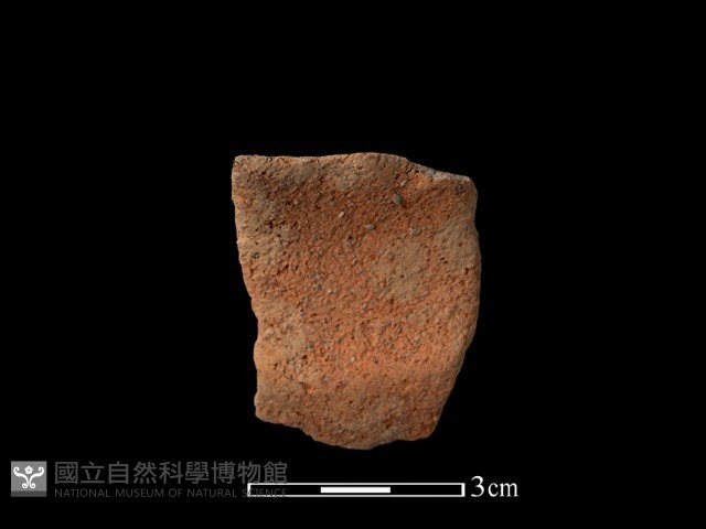 陶罐藏品圖，第1張