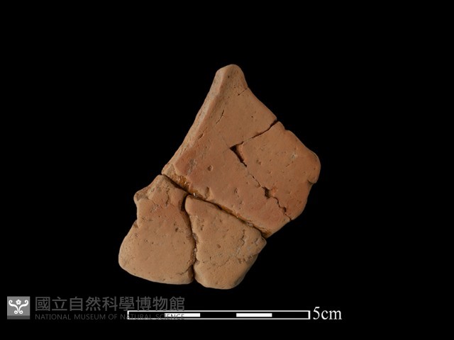 連杯形器藏品圖，第1張
