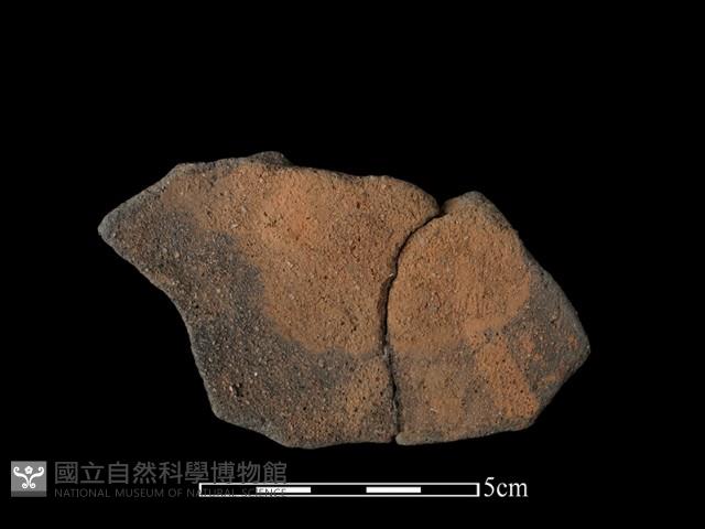 陶片藏品圖，第2張