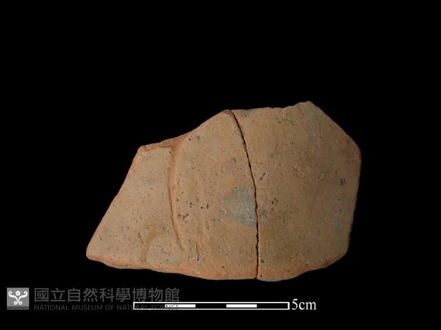 陶片藏品圖，第2張