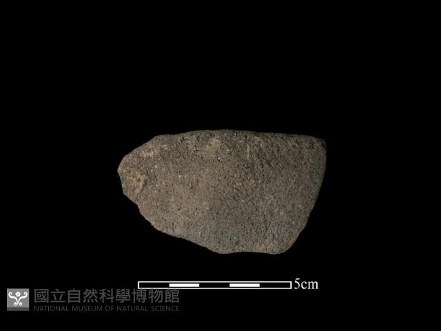 陶片藏品圖，第2張