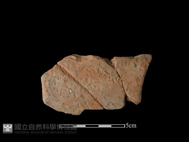 連杯形器藏品圖，第2張