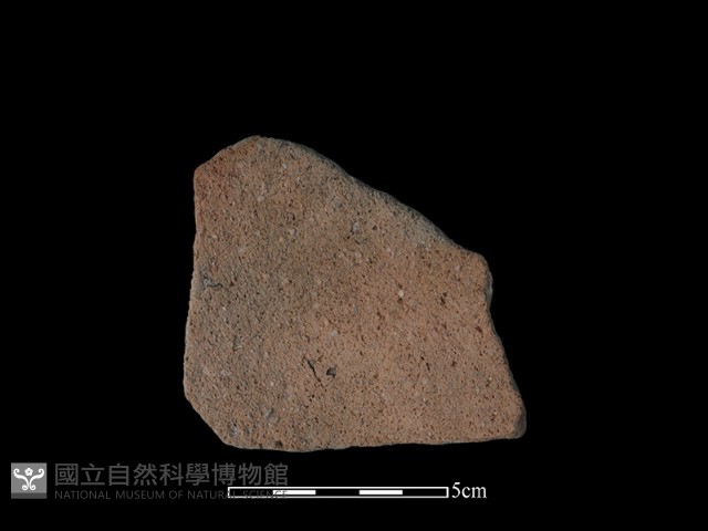 陶片藏品圖，第1張