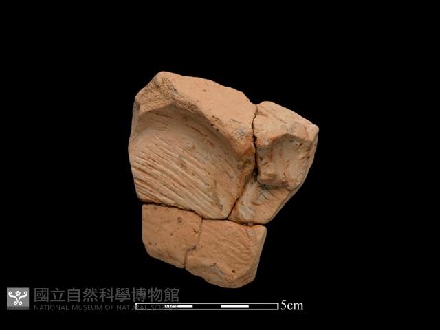 連杯形器藏品圖，第1張