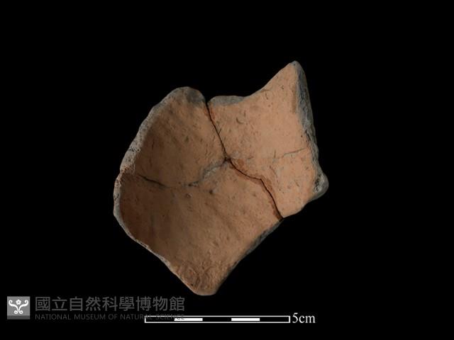 陶片藏品圖，第2張