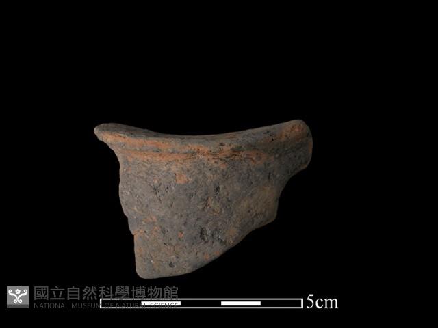 豆形器藏品圖，第1張