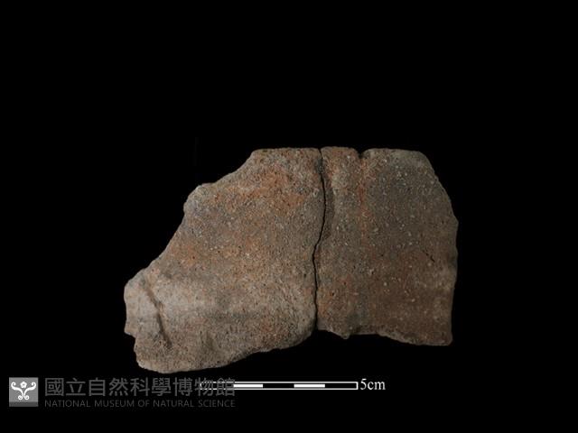 陶罐藏品圖，第1張