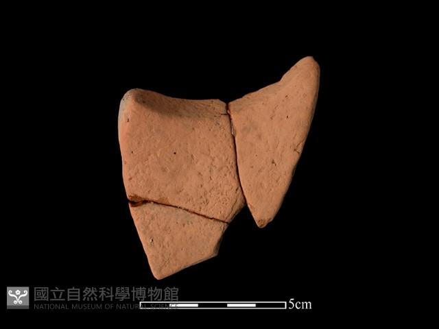 Accession Number:DZD-2015-390 Collection Image, Figure 2, Total 2 Figures