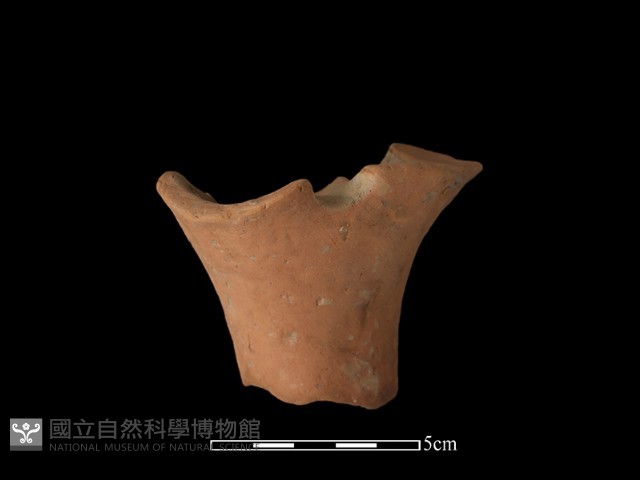 連杯形器藏品圖，第1張