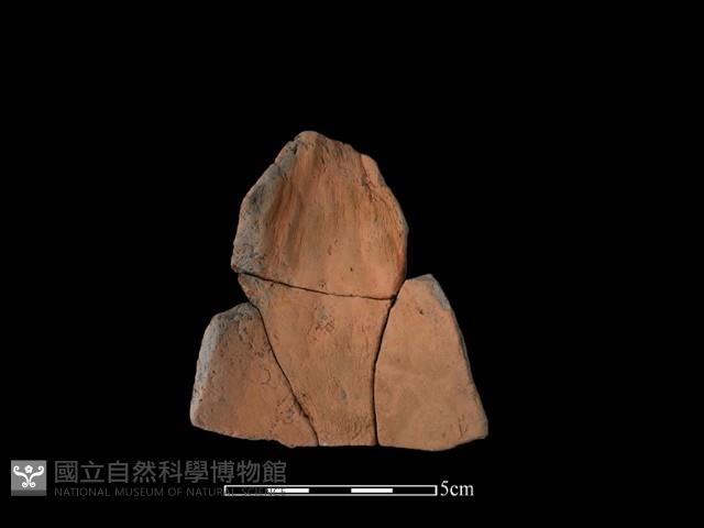 陶片藏品圖，第1張