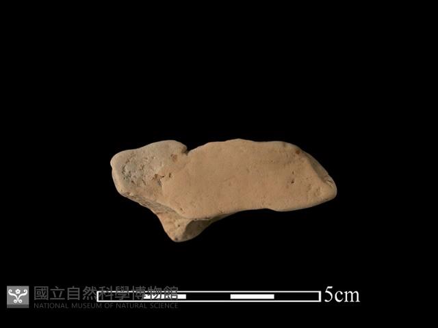 連杯形器藏品圖，第2張