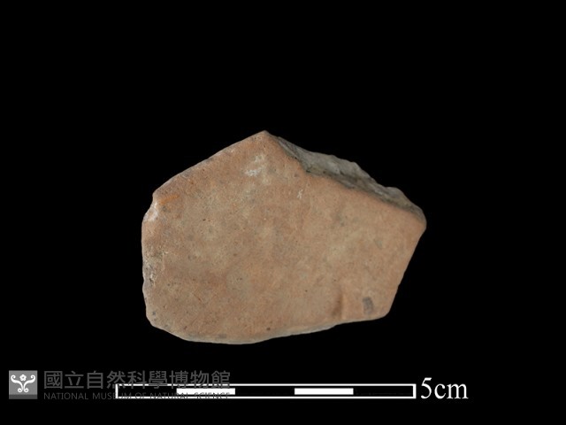 豆形器藏品圖，第1張