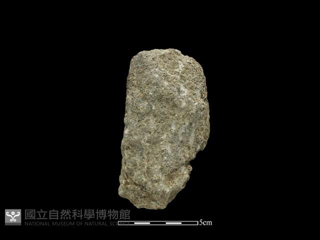 斧鋤形器藏品圖，第1張