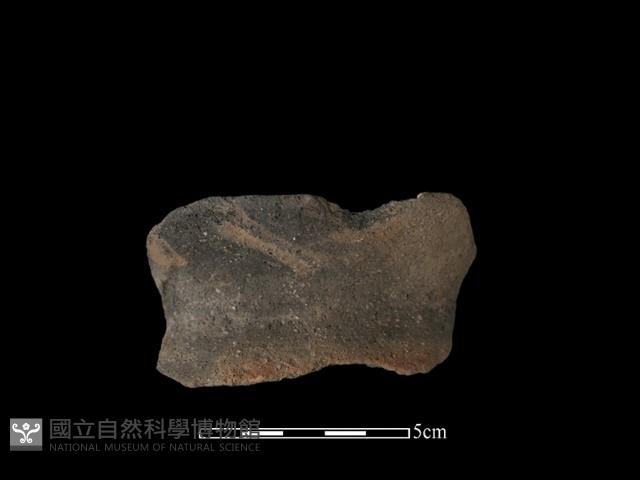 陶罐藏品圖，第2張