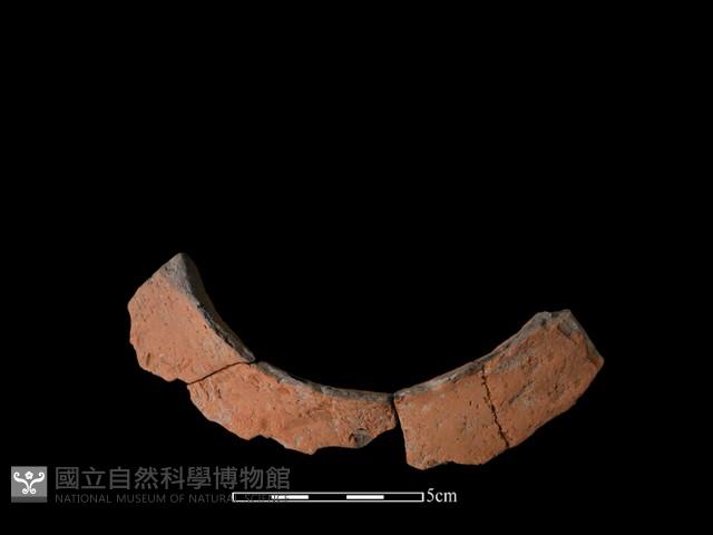 連杯形器藏品圖，第1張