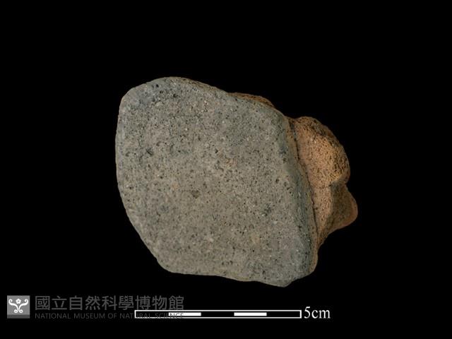 陶片藏品圖，第2張