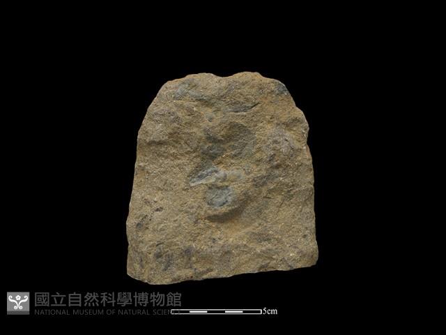 斧鋤形器藏品圖，第2張