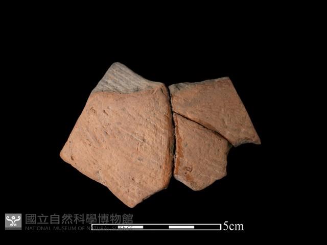 陶片藏品圖，第2張